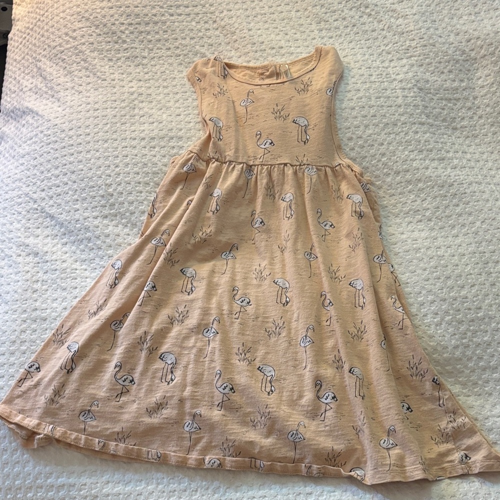 Rylee + Cru Flamingo Print Dress in Cream